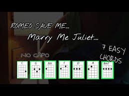 I keep waiting for you, but you never come is this in my head? Love Story Ukulele Tutorial Play Along Youtube