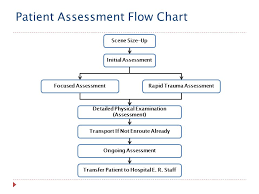 Fire And Rescue Academy Patient Assessment Flow Chart Ppt