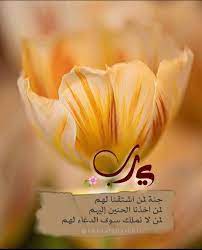 نشر التصاميم المدينة المنورة on instagram اكتب شيء تؤجر عليه استغفرالله الجمعة اكسبلور ا in 2021 islamic images photo collage template morning greeting