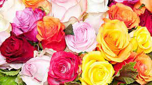 The bouquets are really nice. Bouquet Of The Week Flower Station Delivery