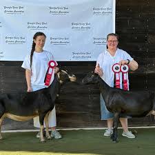 Profile for Sweet Song Farm