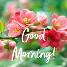 We did not find results for: 79 Good Morning Images With Flowers Have A Beautiful Day