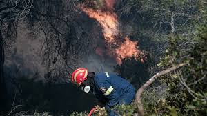 Ένας ακόμη νεκρός ανασύρθηκε από στελέχη του λιμενικού, πριν από λίγο, στη θαλάσσια περιοχή της αρτέμιδας. Fwtia Twra Se Dasikh Ektash Sto Argostoli