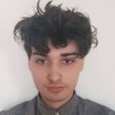 Bristol City Council: The 12 candidates in Westbury-on-Trym & Henleaze