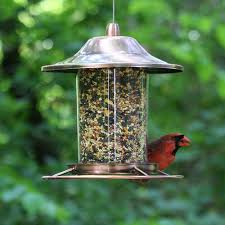 No bha, bht or ethoxyquin. 13 Of The Best Bird Feeders A Gardener S Path Product Guide