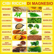 E se per qualche ragione, non se ne possa assumere da alcuno di questi cibi, in commercio sono presenti anche acque minerali arricchite con sali di magnesio. Minerali Fondamentali Per La Salute Le Recensioni