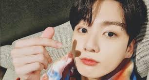 South korean singer and dancer chungha. Bts Jungkook The Incredible Birthday Presents The Singer Received Celebrities K Pop Korean Singers Sea Turtles Lunar Territory Army Fame