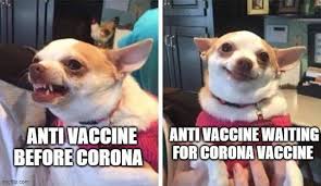 First dose of pfizer with asthma after having covid (25/f)side effects (self.covidvaccinated). Turntables Coronavirusmemes