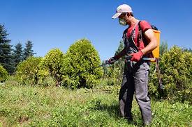 Virus due to significant reduction in whiteflies us pest exclusion using net houses. Pest Exclusion Sanitation Cleanup Program