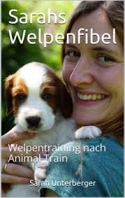 Hundeschule Hundetraining