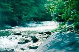 Hours, accepts credit cards, parking, bike parking. Water Quality Index Calculator For Surface Water Guide