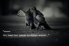 2020 Pozitif Dusunceler Rumi Sozleri Guzel Soz