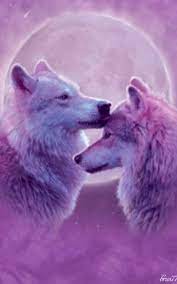 Many images about wallpapers for lautaro martinez fans that you can make as wallpapers to beautify your android phone; 220 Wolf Gifs Ideas Wolf Wolf Pictures Beautiful Wolves