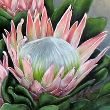 Pin By Jakkie Van Rensburg On Proteas Flower Painting Protea Art Watercolor Flowers