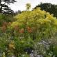 Unusual Trees  with Kevin Hughes event image