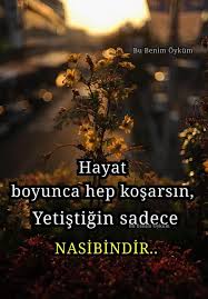 Gurbet Kuslari Facebook