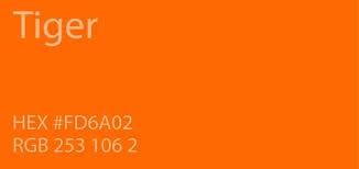Pin By Cassy Chester On Colors Orange Color Palettes Orange Color Shades Orange Color