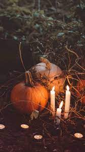 Download Scary Pumpkins Wallpaper By Z Studios Ff Free On Zedge Now Browse Millions Of Popula Pumpkin Wallpaper Fall Wallpaper Halloween Wallpaper Iphone