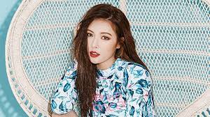 Her popularity and hit songs helped to gain fame and wealth. Hyuna Profile And Facts Updated