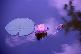 Fun with grammar has been designed to assist you in several ways: Love Spells In New York Authentic Magic Spells