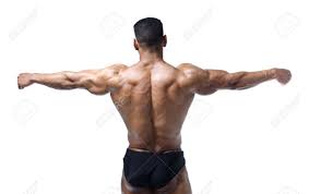This involves taking more drugs, like human chorionic gonadotropin (hcg) and estrogen. Back Shoulders And Open Arms Of Muscular Bodybuilder On White Background Stock Photo Picture And Royalty Free Image Image 23899033