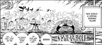 One piece blackbeard captutre boney new world. Paramecia Zoan Mungkinkah Ini Buah Iblis Sanjuan Wolf