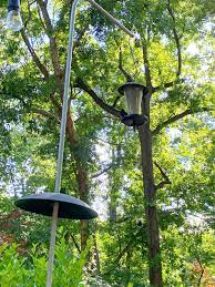 Give squirrels their own feeders. Update On A Diy Squirrel Proof Bird Feeder Pole Chatfield Court