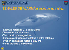 Entre ellos hay un hombre muerto. Como Descubrir Si Su Hijo Esta Enganchado Al Juego De La Ballena Azul Confilegal