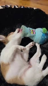 Melissa Sullins (@melissasullins420)