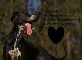 Ein Hundeleben Zwischen Kitsch Und Fellnase Planet Hund