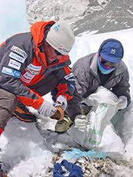 Saving Mount Fuji Bccj Acumen