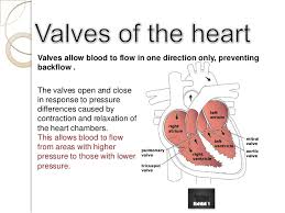 Chronic Ischemic Heart Disease Unspecified Icd 10 Cardiovascular Disease