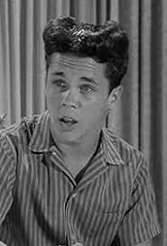 Leave It to Beaver" Wally's Haircomb (TV Episode 1959)