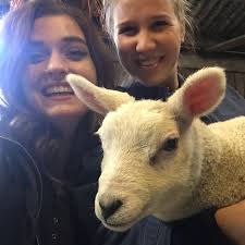 North Carolina Agritourism Networking Association