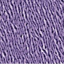 Atomic Force Microscope Afm Analytical Instrumentation Facility Aif Yearly calendar showing months for the year 2017. atomic force microscope afm