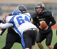 Dustin Rubenstein runs McKee/Staten Island Tech past Petrides, 30-18