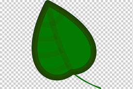 Fig Leaf Bible Common Fig Cartoon Leaf Leaf Grass Jungle Png Klipartz Discover 53 free jungle leaves png images with transparent backgrounds. fig leaf bible common fig cartoon leaf