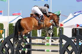 The fruit fields still exist although the focus of the estate has become jumping horses. Peder Fredricson Wins Jump Off Class In Stockholm Equnews International