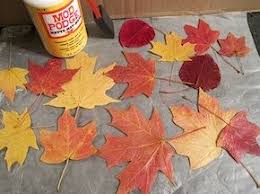 How To Preserve Fall Leaves Using Mod Podge And Wax Paper Fall Crafts Leaf Crafts Crafts