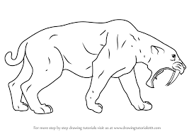 The species was named in 1858, four years after. Learn How To Draw A Saber Toothed Cat Extinct Animals Step By Step Drawing Tutorials Easy Animal Drawings Animal Drawings Drawings