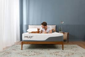 Compare & buy top rated mattress online. Mattresses Adustable Beds Memory Foam Mattress Store In Knoxville Tn 37912 865 947 2337