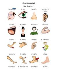 So these cards can teach kids new vocabulary. Spanish Body Parts Vocabulary Crossword And Wordsearch By Tiffany Vs Hs