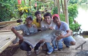 Panorama Mancing Januari 2012
