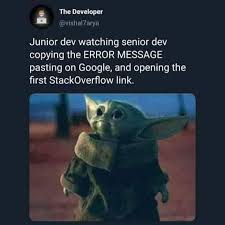By creating teams balanced with junior and senior developers, employers can develop a culture of information sharing and save money at the same time. Programming Memes Posts Facebook