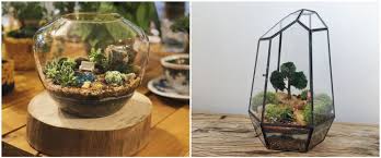 Terrarium, menurut ani, biasanya diletakkan di dalam ruangan. 10 Potret Terrarium Ini Desainnya Keren Banget Cocok Untuk Hiasa