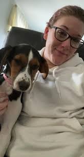 Missing friendly dog near Warsaw IL