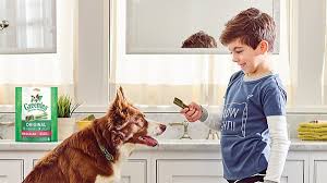 Best dog food at petsmart. 15 Top Pet Products You Can Get At Petsmart Reviewed