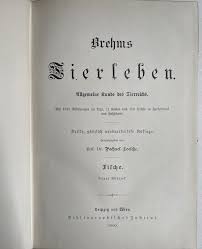 Image result for Pechuel-Loeschea