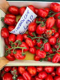 Image result for tomato Piccadilly