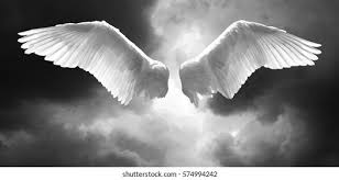 Check spelling or type a new query. Angel Wings Background Made Stormy Sky Stock Photo Edit Now 574994242